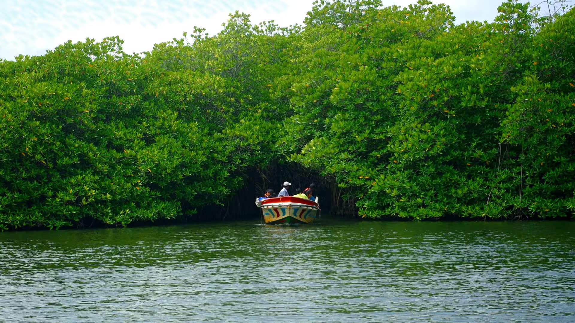 Madu River Mangrove Safari