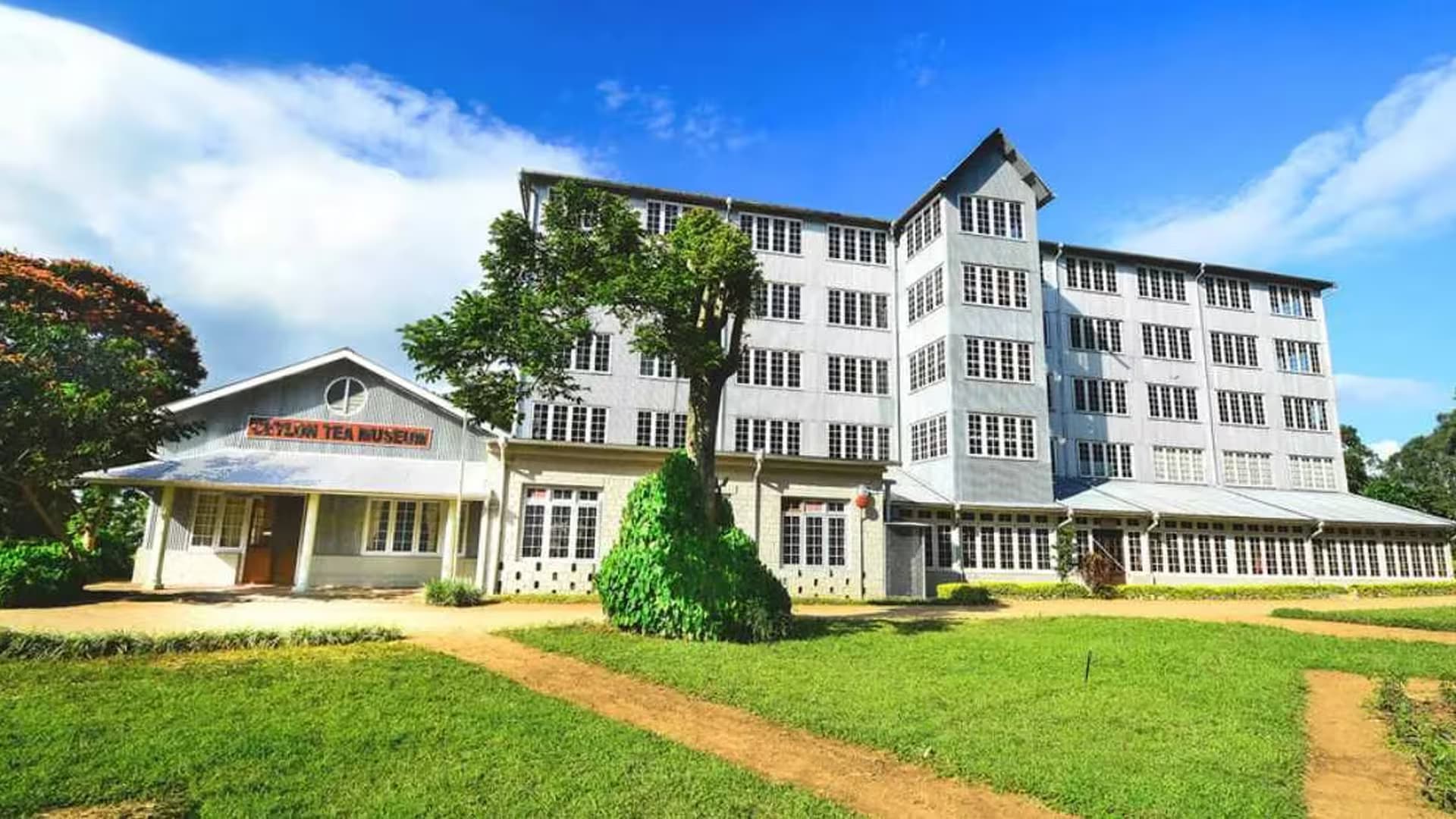 Ceylon Tea Museum