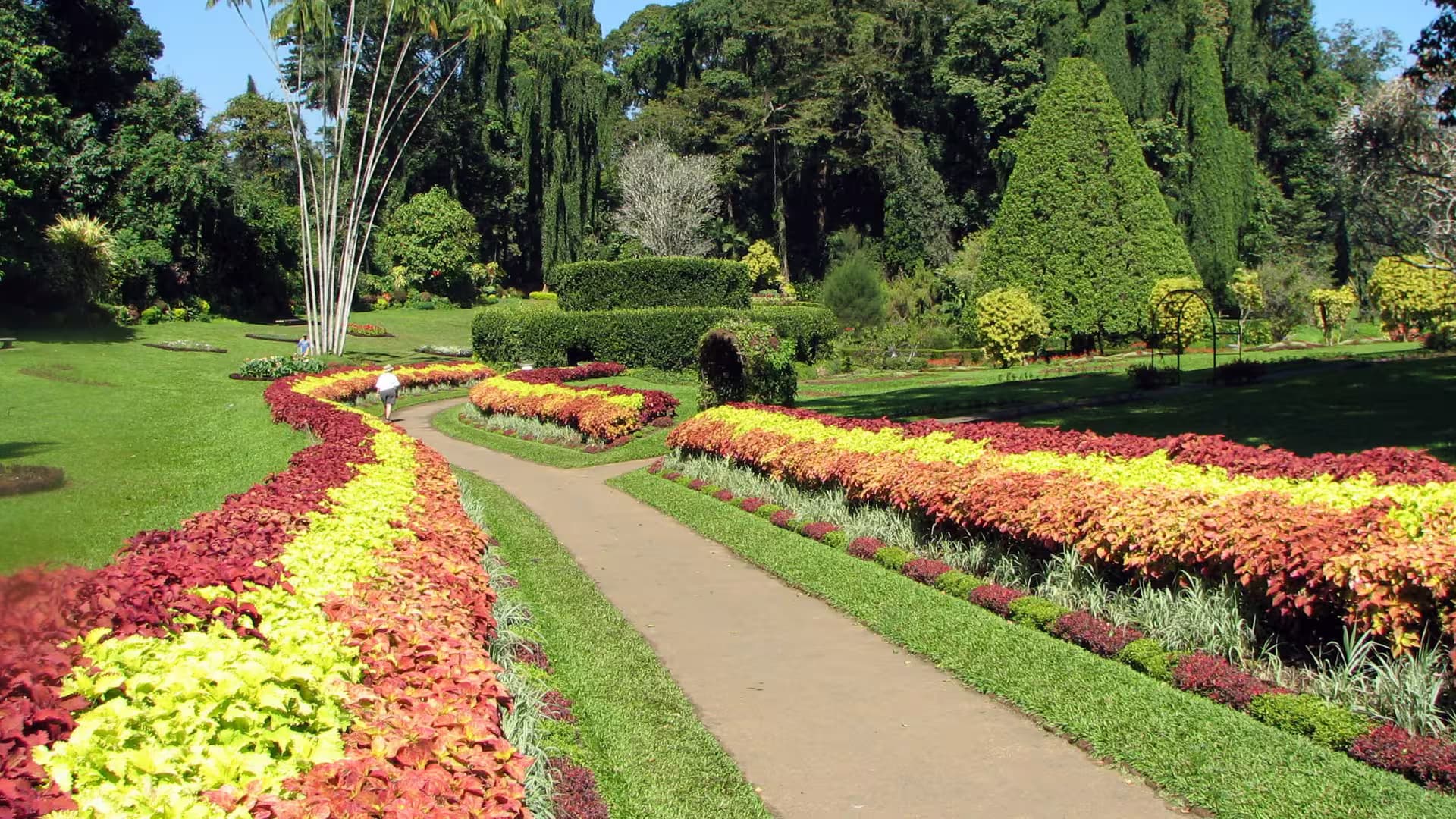 Royal Botanical Gardens Peradeniya