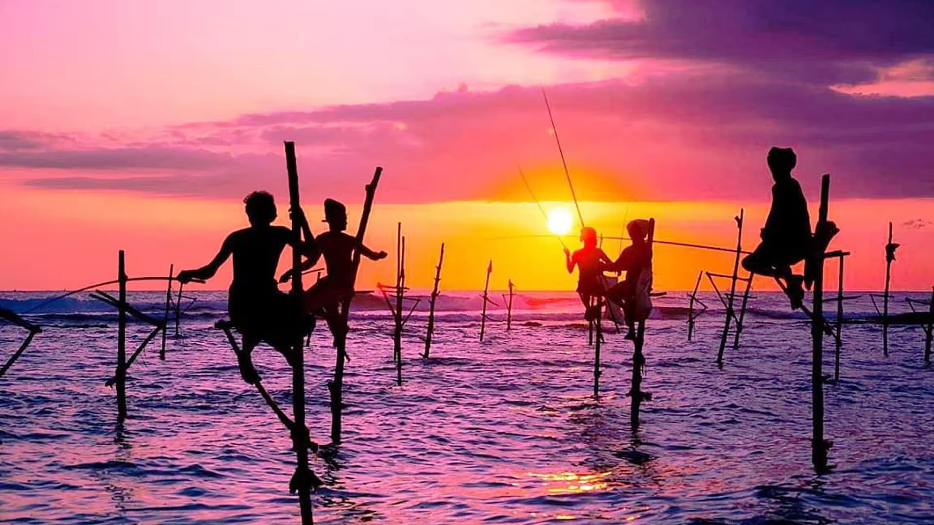 Traditional Stilt Fishing